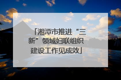 湘潭市推进“三新”领域妇联组织建设工作见成效