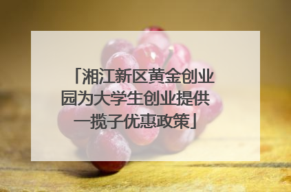 湘江新区黄金创业园为大学生创业提供一揽子优惠政策