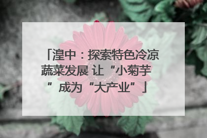 湟中：探索特色冷凉蔬菜发展 让“小菊芋”成为“大产业”