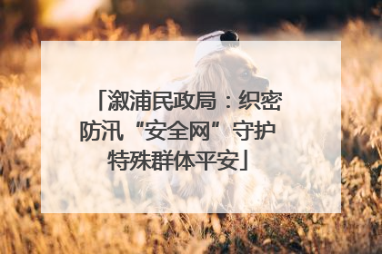 溆浦民政局：织密防汛“安全网”守护特殊群体平安