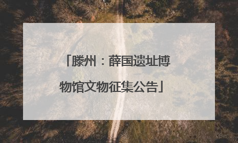 滕州：薛国遗址博物馆文物征集公告