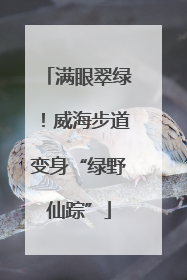 满眼翠绿！威海步道变身“绿野仙踪”