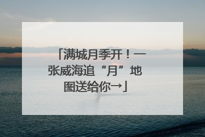 满城月季开！一张威海追“月”地图送给你→