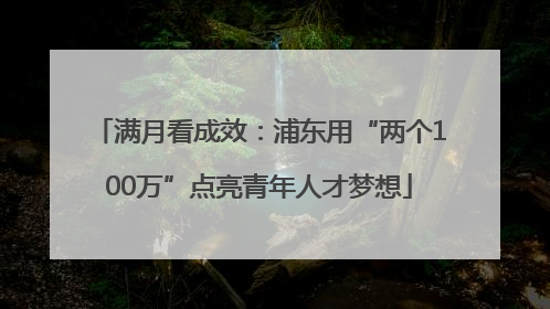 满月看成效：浦东用“两个100万”点亮青年人才梦想