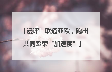 漫评｜联通亚欧，跑出共同繁荣“加速度”