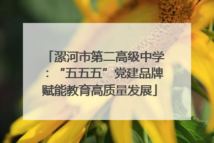 漯河市第二高级中学：“五五五”党建品牌赋能教育高质量发展