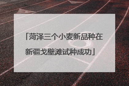 菏泽三个小麦新品种在新疆戈壁滩试种成功