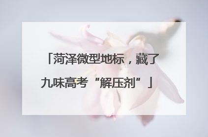 菏泽微型地标，藏了九味高考“解压剂”