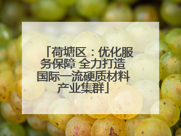荷塘区：优化服务保障 全力打造国际一流硬质材料产业集群