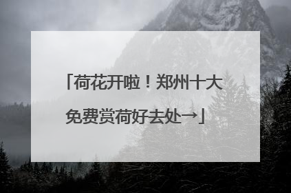 荷花开啦！郑州十大免费赏荷好去处→