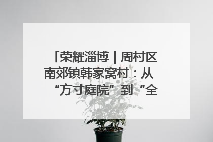荣耀淄博｜周村区南郊镇韩家窝村：从“方寸庭院”到“全域文明”，乡村振兴的“美学革命”