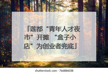 莲都“青年人才夜市”开摊 “盒子小店”为创业者兜底