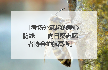 考场外筑起的爱心防线——向日葵志愿者协会护航高考