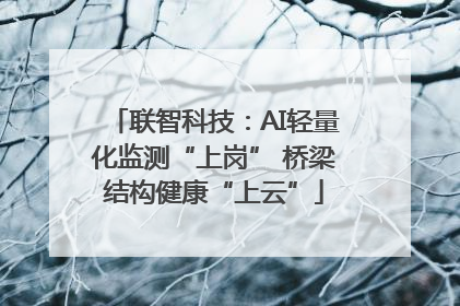 联智科技：AI轻量化监测“上岗” 桥梁结构健康“上云”