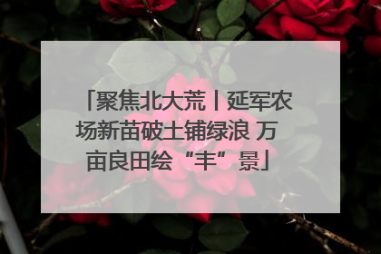 聚焦北大荒丨延军农场新苗破土铺绿浪 万亩良田绘“丰”景