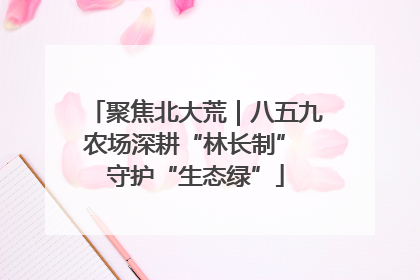 聚焦北大荒｜八五九农场深耕“林长制” 守护“生态绿”