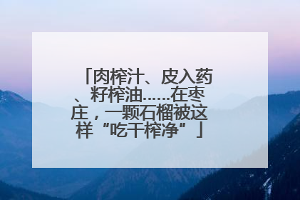 肉榨汁、皮入药、籽榨油……在枣庄，一颗石榴被这样“吃干榨净”