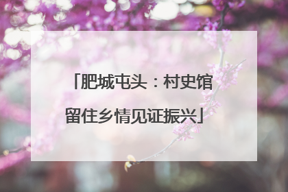 肥城屯头：村史馆留住乡情见证振兴
