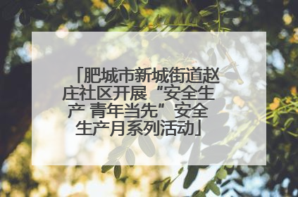 肥城市新城街道赵庄社区开展“安全生产 青年当先”安全生产月系列活动