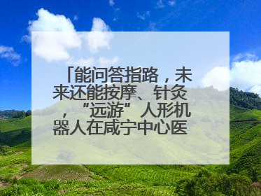 能问答指路，未来还能按摩、针灸，“远游”人形机器人在咸宁中心医院上岗