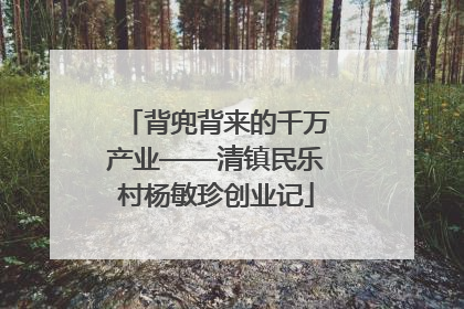背兜背来的千万产业——清镇民乐村杨敏珍创业记