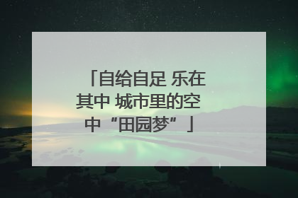 自给自足 乐在其中 城市里的空中“田园梦”