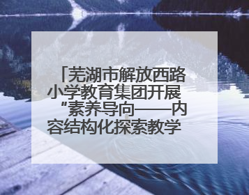 芜湖市解放西路小学教育集团开展“素养导向——内容结构化探索教学实践”数学专题研讨活动