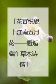 花容悦貌丨江南五月花——邂逅端午草木诗情