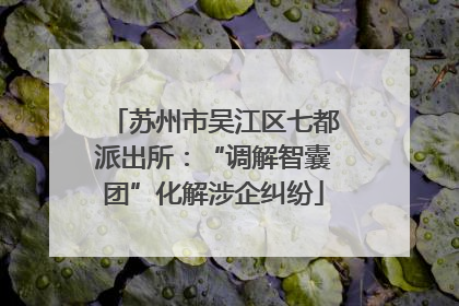 苏州市吴江区七都派出所：“调解智囊团”化解涉企纠纷