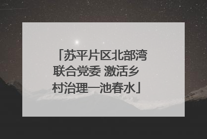 苏平片区北部湾联合党委 激活乡村治理一池春水