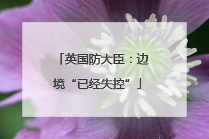 英国防大臣：边境“已经失控”