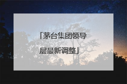 茅台集团领导层最新调整
