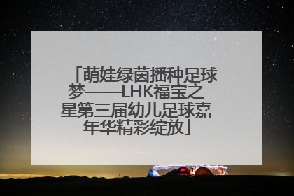 萌娃绿茵播种足球梦——LHK福宝之星第三届幼儿足球嘉年华精彩绽放