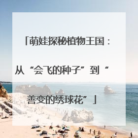 萌娃探秘植物王国：从“会飞的种子”到“善变的绣球花”