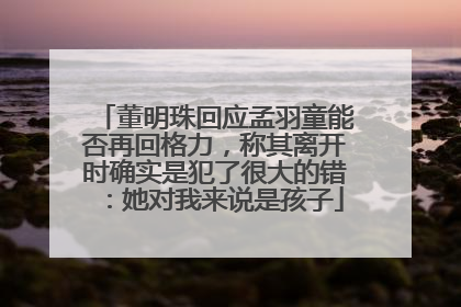 董明珠回应孟羽童能否再回格力，称其离开时确实是犯了很大的错：她对我来说是孩子