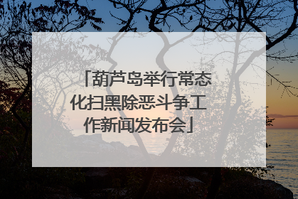 葫芦岛举行常态化扫黑除恶斗争工作新闻发布会
