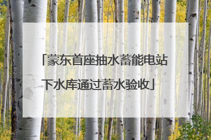 蒙东首座抽水蓄能电站下水库通过蓄水验收