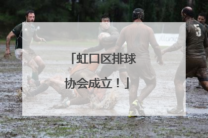 虹口区排球协会成立！
