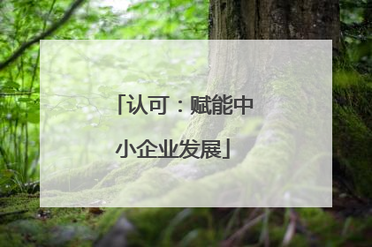 认可：赋能中小企业发展