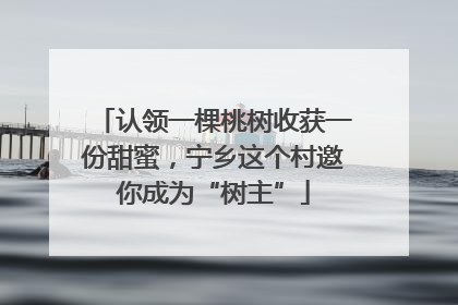 认领一棵桃树收获一份甜蜜，宁乡这个村邀你成为“树主”