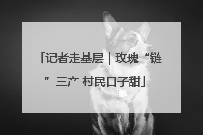 记者走基层｜玫瑰“链”三产 村民日子甜