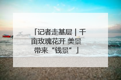 记者走基层｜千亩玫瑰花开 美景带来“钱景”
