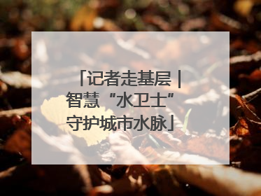 记者走基层｜智慧“水卫士”守护城市水脉