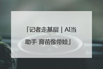记者走基层｜AI当助手 育苗像带娃