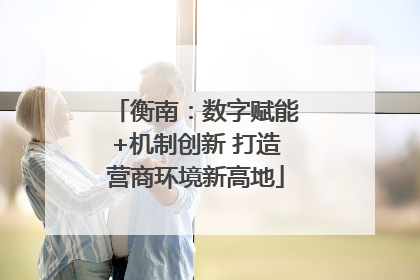 衡南：数字赋能+机制创新 打造营商环境新高地