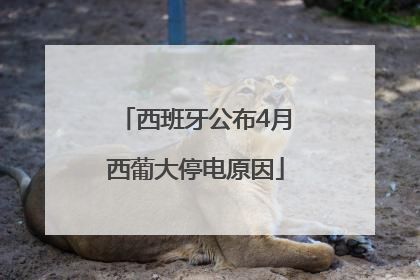 西班牙公布4月西葡大停电原因