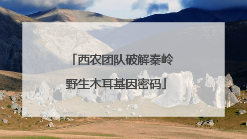 西农团队破解秦岭野生木耳基因密码