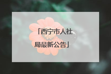 西宁市人社局最新公告