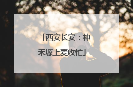 西安长安：神禾塬上麦收忙