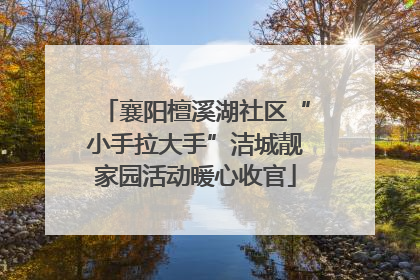襄阳檀溪湖社区“小手拉大手”洁城靓家园活动暖心收官